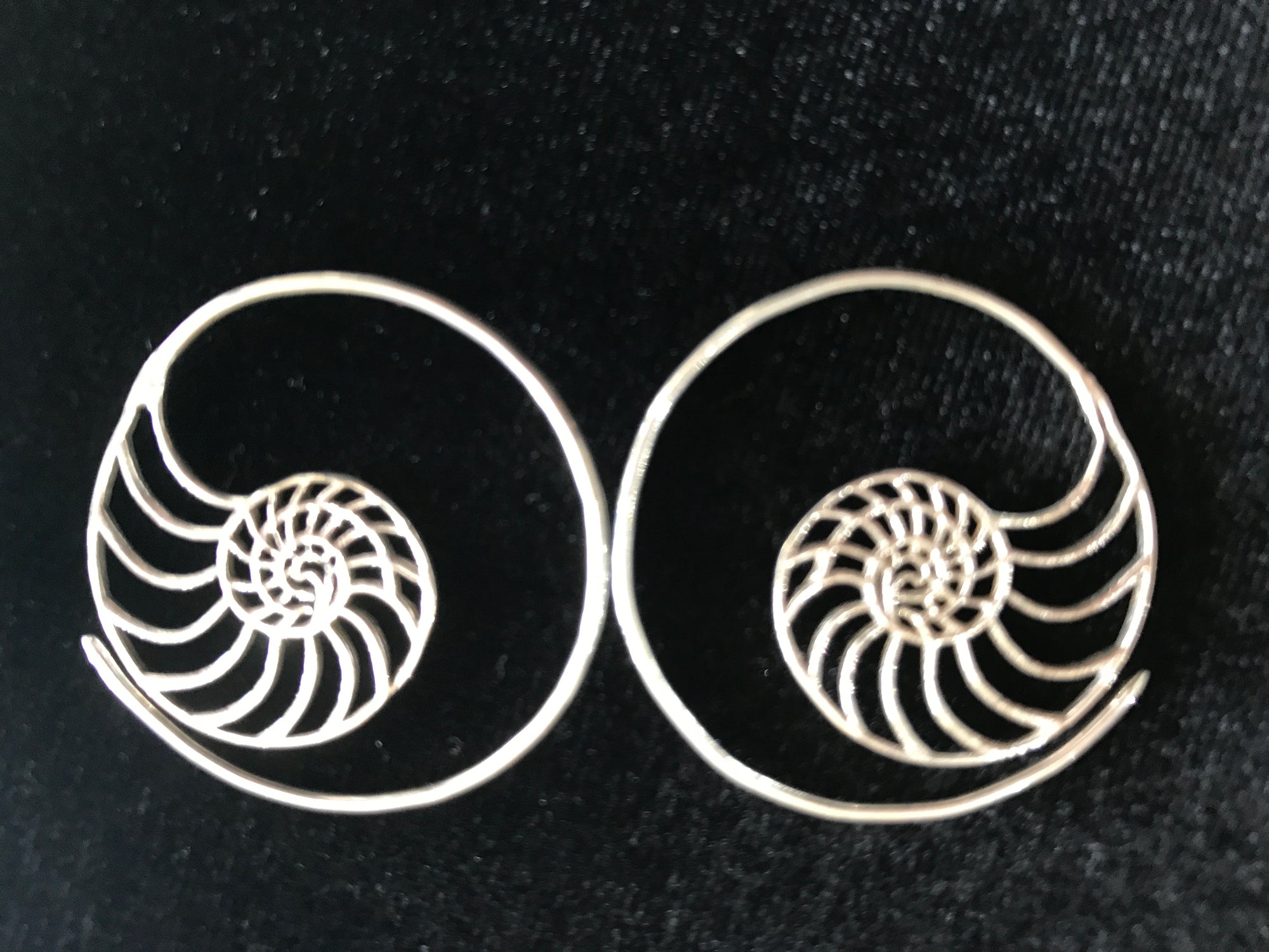 Shell Curl Hoop Sterling Silver Earrings